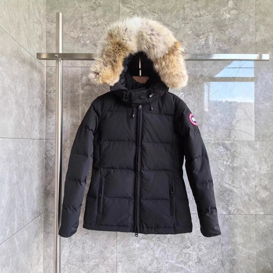 Winter Parka CG